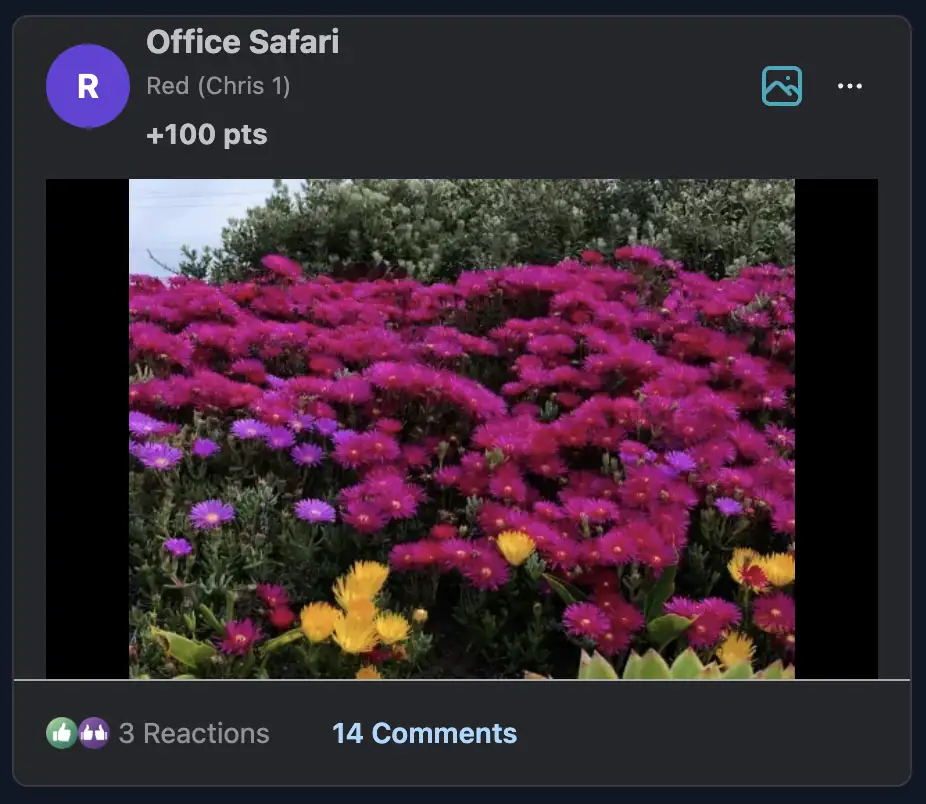 Submission card showing comments count